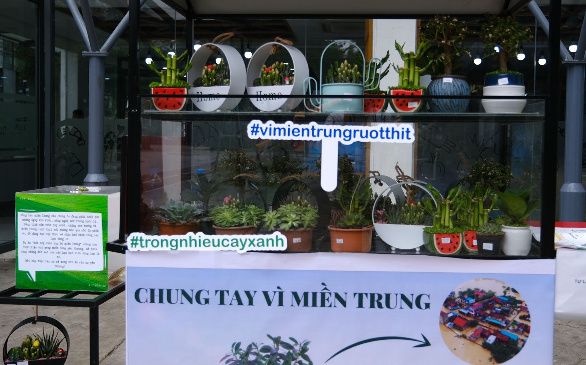trồng nhiều cây xanh chung tay vì miền Trung