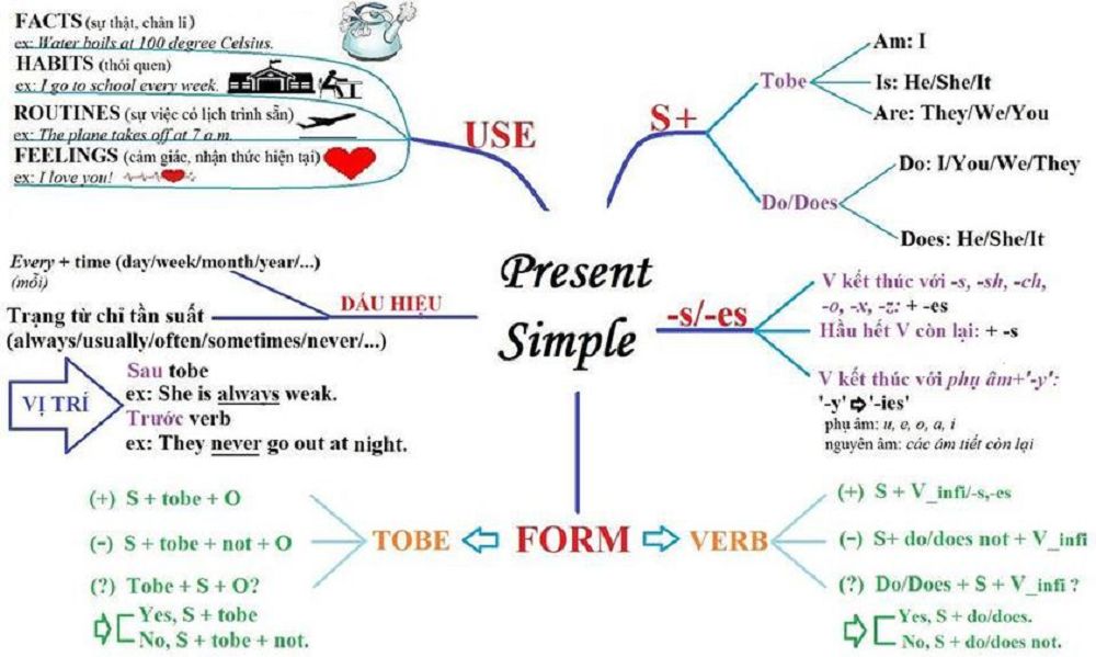 sơ đồ tư duy thì hiện tại đơn