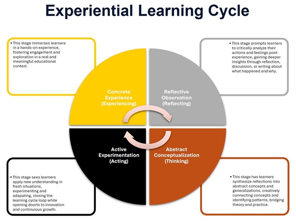 chu-trinh-cua-mo-hinh-hoc-tap-trai-nghiem-cua-david-kolb