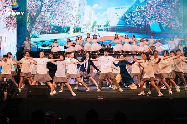 chung-kết-dshow-11
