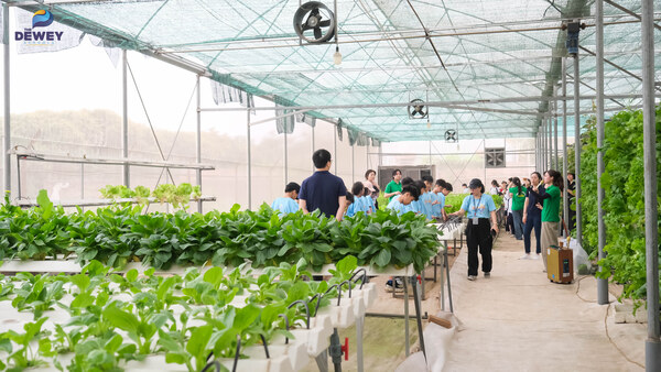 dã-ngoại-K1-3-11