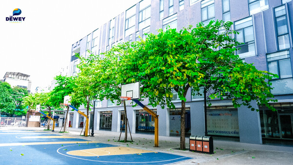 dewey-cau-giay-back-to-school-4