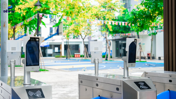 dewey-cau-giay-back-to-school-12