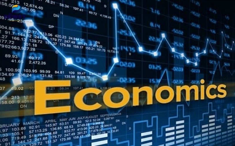 chọn nghề theo khối D