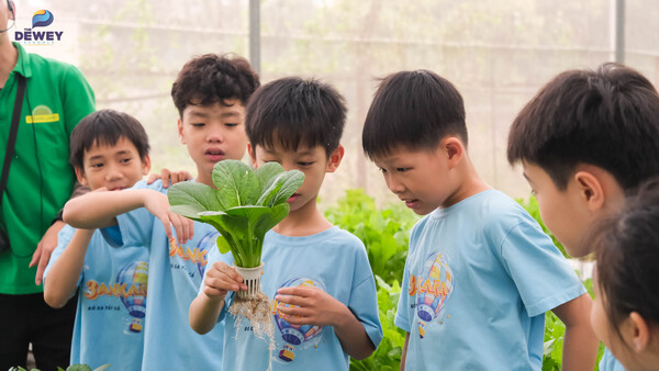 gia-bao-dw-cau-giay-01