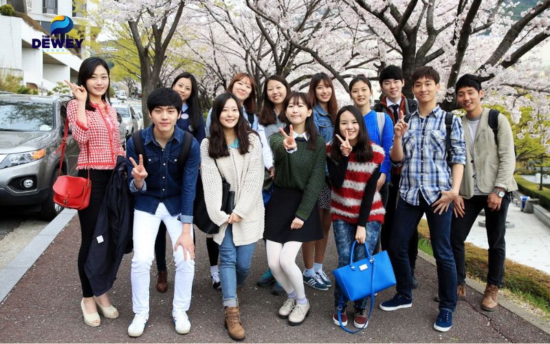 Ở bậc cử nhân, trường đào tạo tại 16 khoa trực thuộc