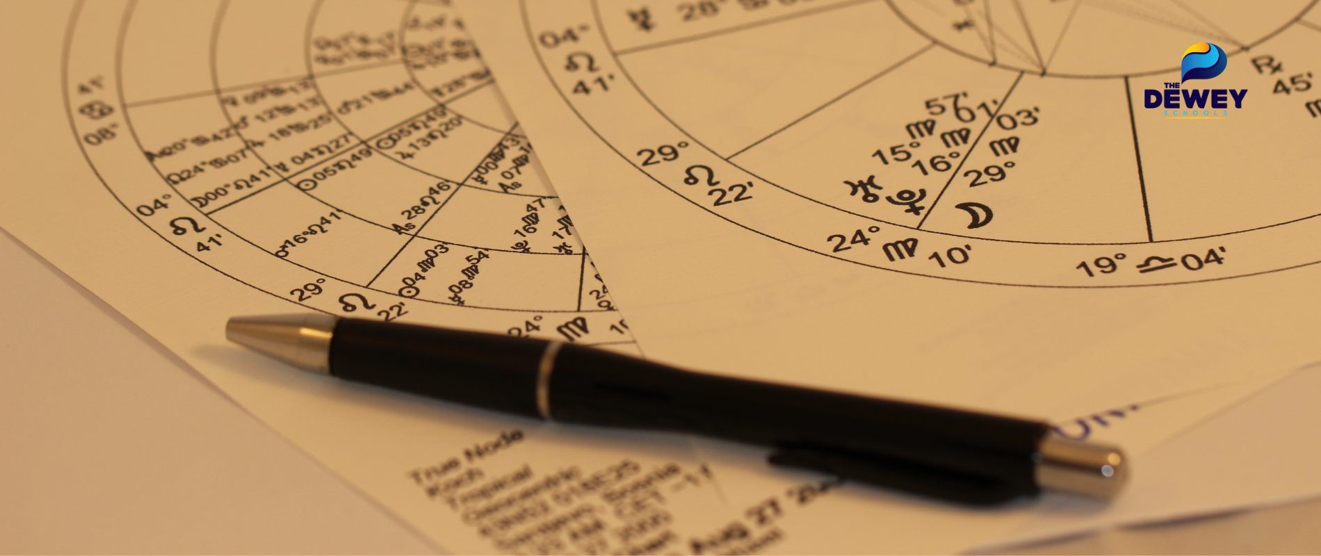 định hướng nghề nghiệp theo tử vi