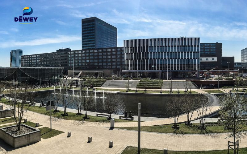 Tổng quan về Đại học Erasmus Rotterdam