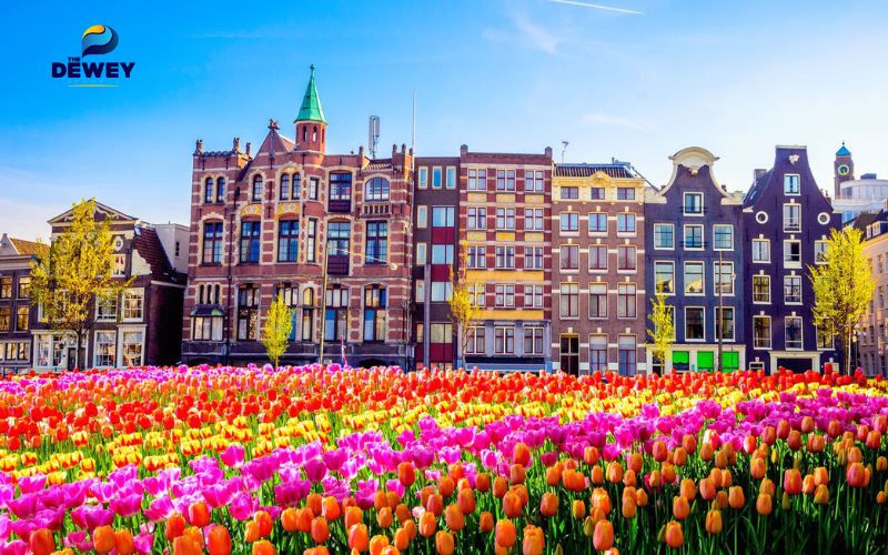 Những ưu điểm khi du học Hà Lan