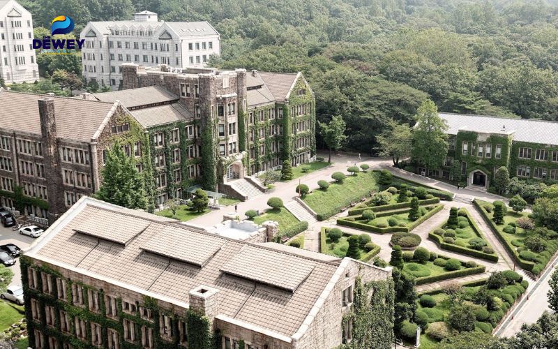 Yonsei có chương trình tâm lý mạnh ở cả bậc đại học và sau đại học