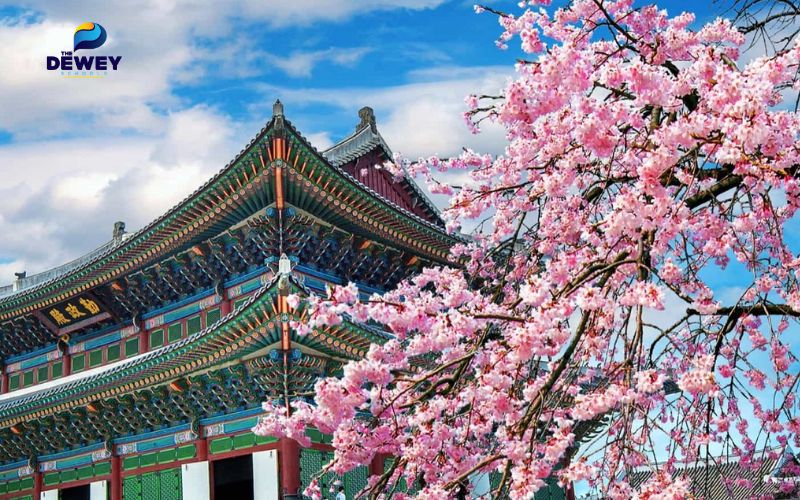 Hàn Quốc nổi bật với học bổng KGSP