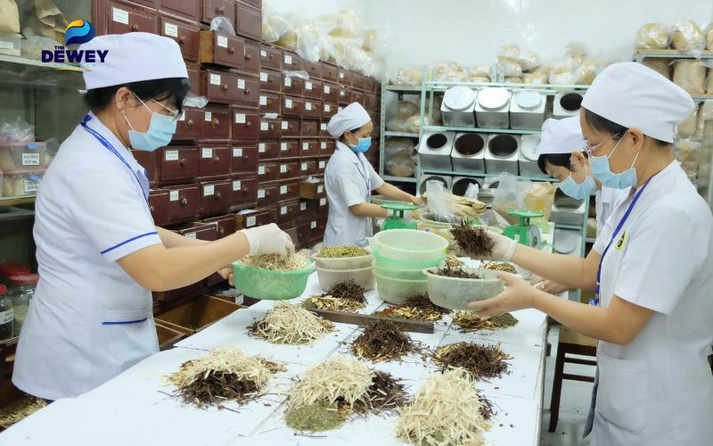 Tại sao chọn du học ngành y học cổ truyền?