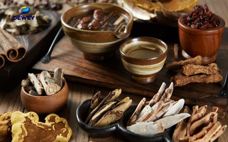 Du học ngành y học cổ truyền tại Hàn Quốc