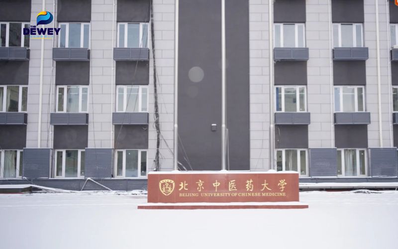 Top trường du học ngành y học cổ truyền tốt nhất