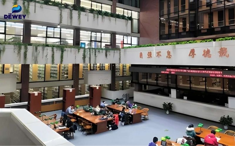 Sinh viên quốc tế đã đỗ học bổng và đang nghiên cứu tại đại học Thanh Hoa