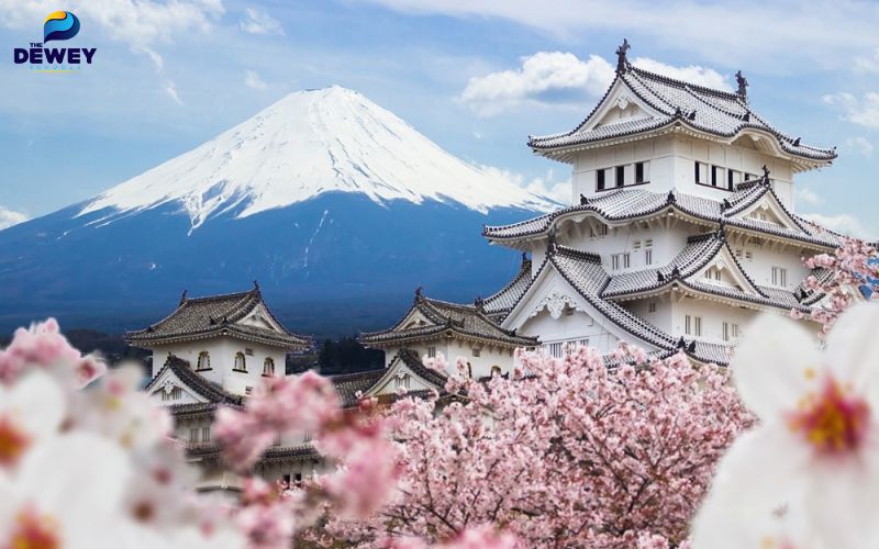 Du học ngành điều dưỡng tại Nhật Bản