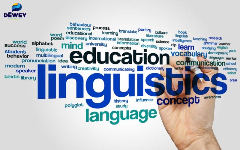 Yêu cầu chứng chỉ về ngôn ngữ