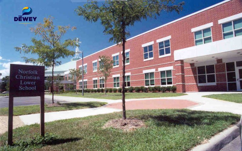 Tích cực tham gia hoạt động ngoại khóa sẽ giúp quá trình săn học bổng du học Mỹ diễn ra thuận lợi