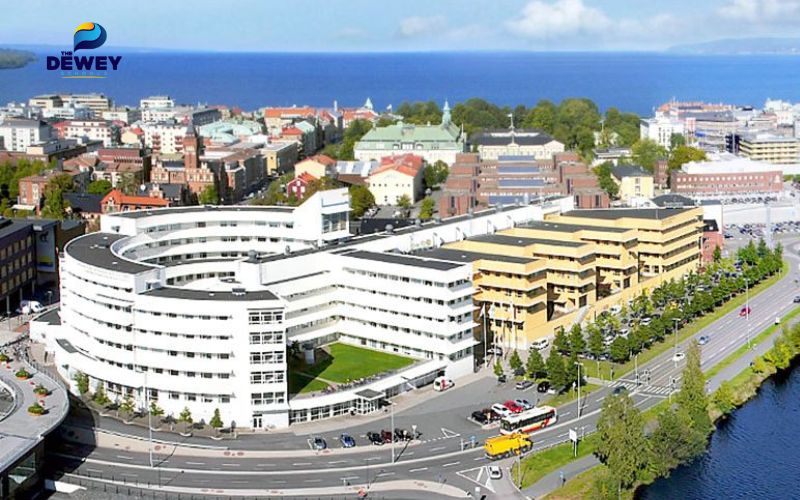 Học bổng của Đại học Jönköping