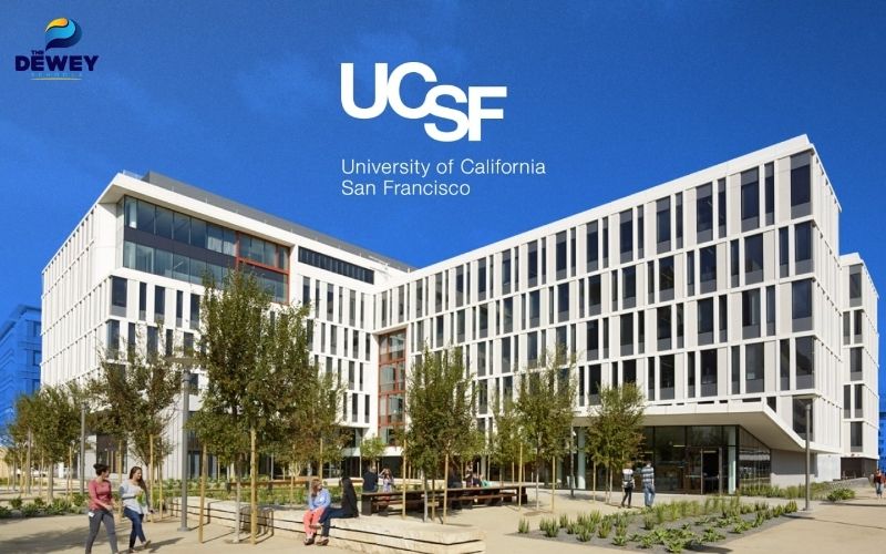 UCSF là trường nổi bật với chương trình nghiên cứu