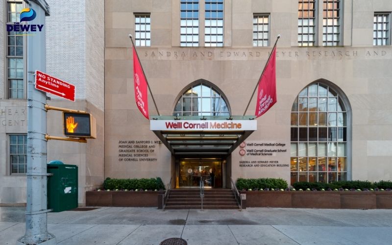 Weill Cornell Medical College hỗ trợ sinh viên thực hành lâm sàng