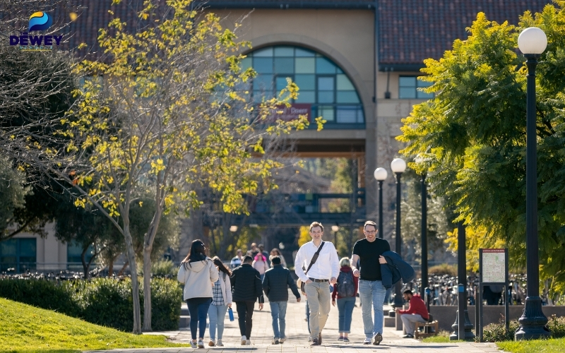 Sinh viên tốt nghiệp Đại học Stanford được nhiều doanh nghiệp toàn cầu săn đón
