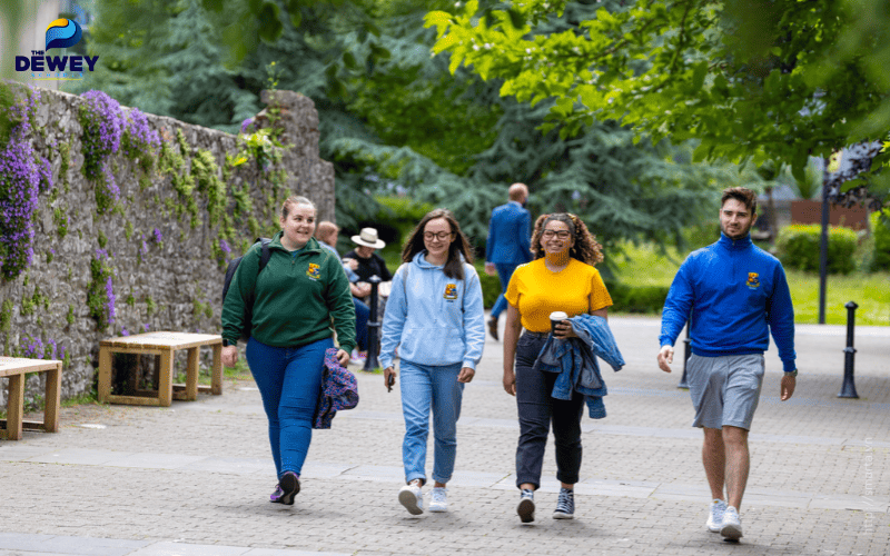 Tìm hiểu ngành học giúp sinh viên chọn lựa phù hợp khi du học Ireland