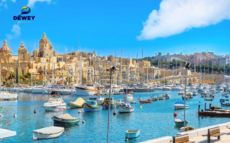 Kinh nghiệm chọn ngành học khi du học Malta