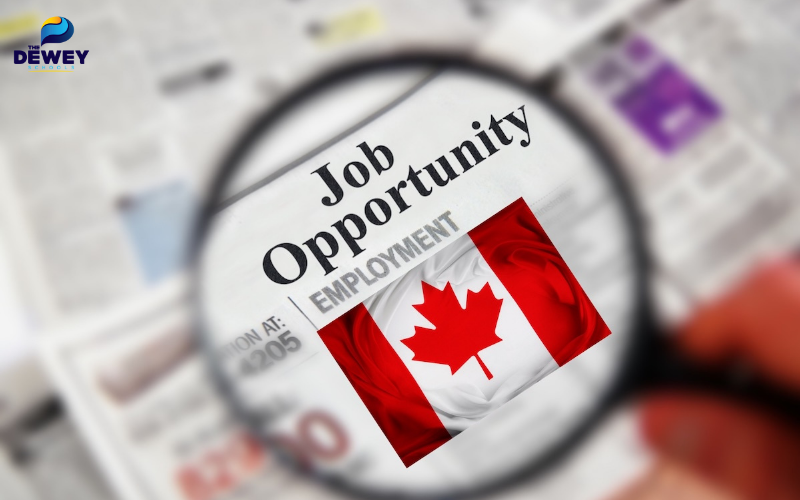 Học tập và làm thêm là hai yếu tố quan trọng giúp sinh viên tích lũy kinh nghiệm thực tế