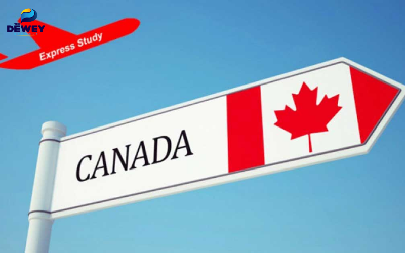 Du học sinh cần hoàn thiện học bạ và bằng cấp