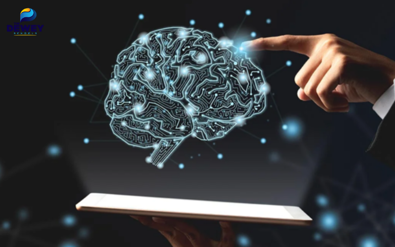 Tâm lý học hành vi tập trung phân tích mối quan hệ giữa suy nghĩ, cảm xúc và hành vi con người