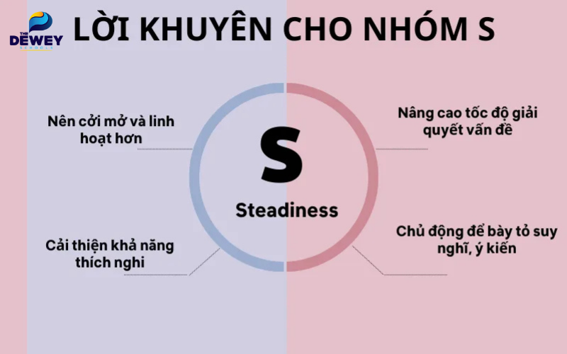 Nhóm Steadiness (S) – người điềm đạm, kiên định luôn mang lại sự ổn định