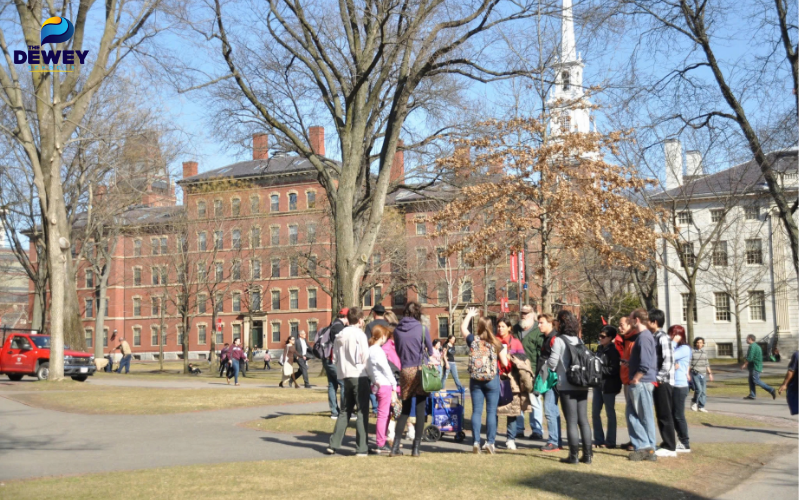 Phần lớn thí sinh trúng tuyển có GPA trung bình từ 3.8/4.0 trở lên