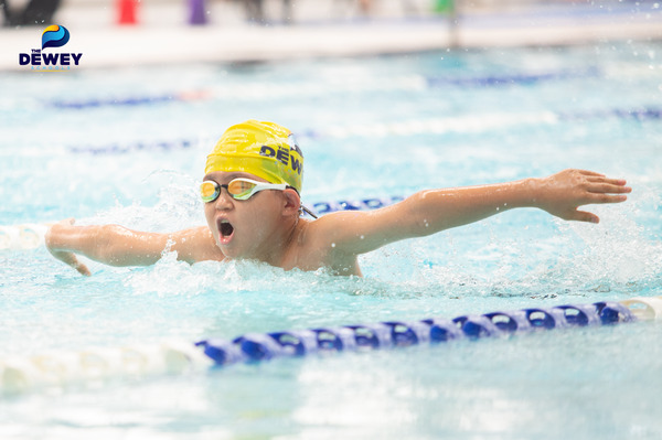 giai-boi-tay-ho-tay-12