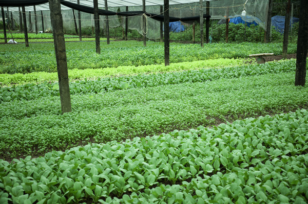 tham-quan-noi-cung-cap-thuc-pham-01