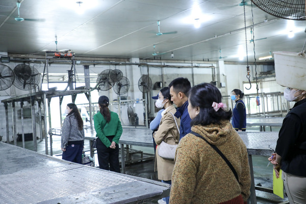 xtham-quan-noi-cung-cap-thuc-pham-08