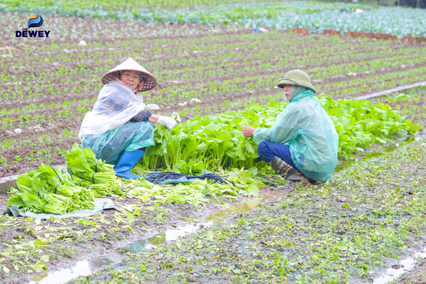 recap-thăm-nông-trại-xanh-ocp-03