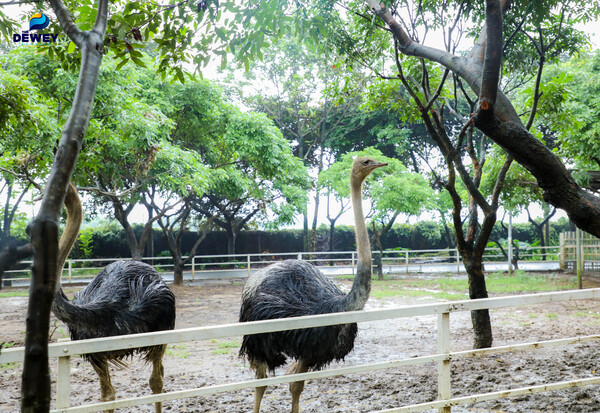trải-nghiệm-DeTrang-Farm-10
