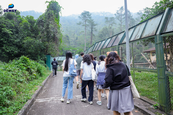 tham-quan-tam-đảo-tht-03