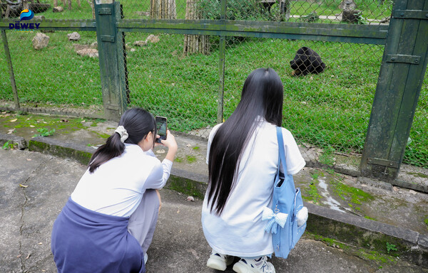 tham-quan-tam-đảo-tht-04