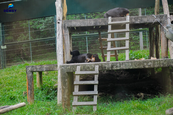 tham-quan-tam-đảo-tht-06