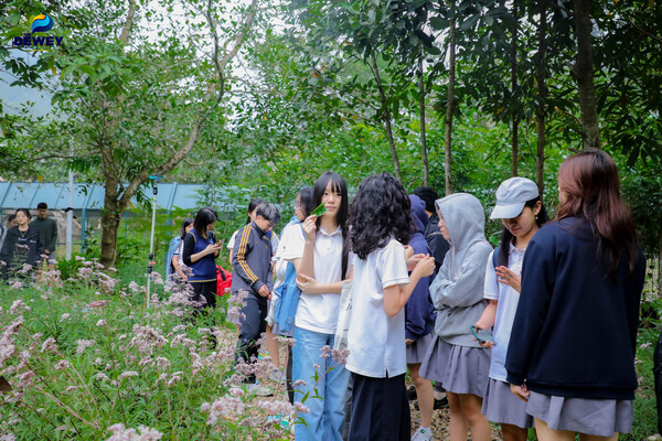 tham-quan-tam-đảo-tht-08