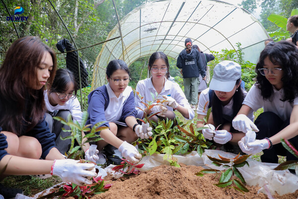 tham-quan-tam-đảo-tht-10