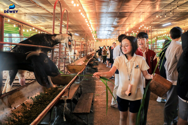 trải-nghiệm-DeTrang-Farm-01