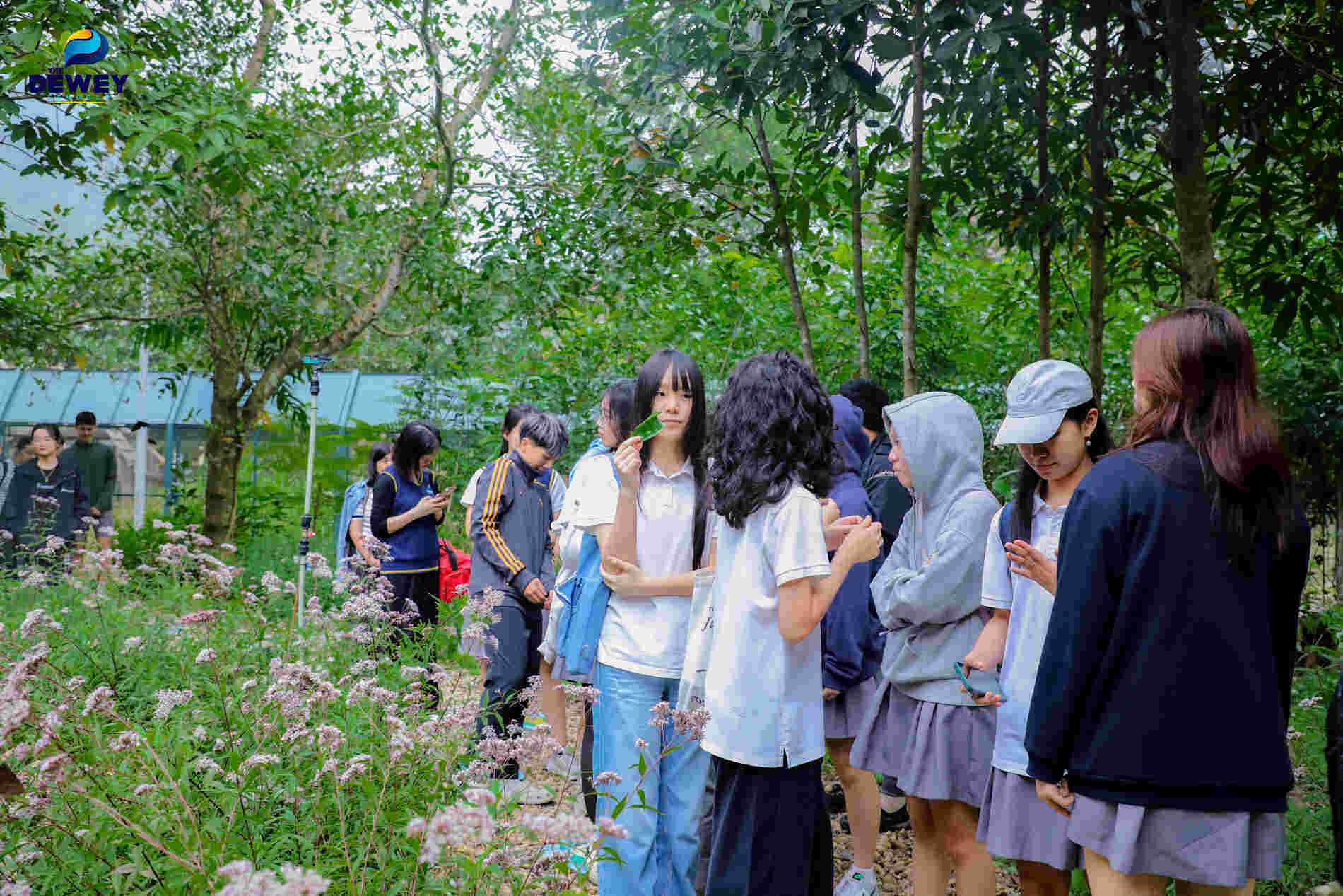 tham-quan-tam-đảo-tht-cover