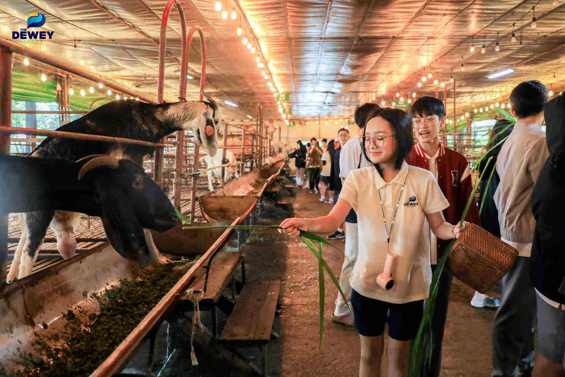 trải-nghiệm-DeTrang-Farm-cover