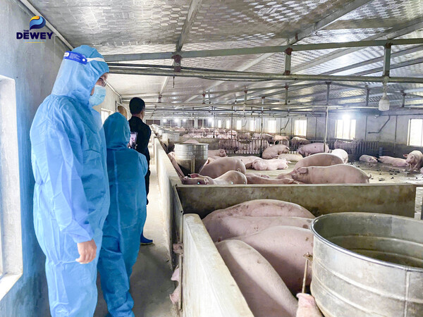 recap-thăm-nông-trại-xanh-cg-07