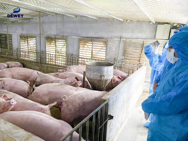 recap-thăm-nông-trại-xanh-cg-08