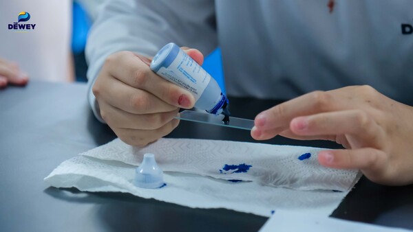 Tiết-khoa-học-K6-06