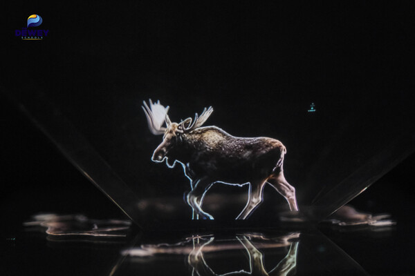 dự-án-liên-môn-Khoa-học-Toá-Tin-08